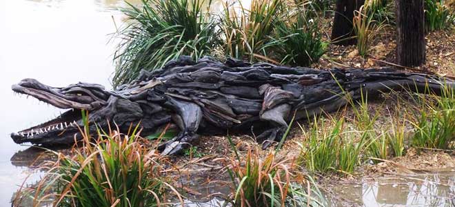 Crocodile driftwood art sculpture