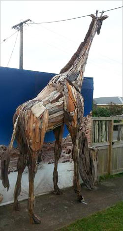 Giraffe driftwood art sculpture ready to go to a customer