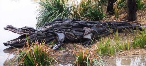 Crocodile driftwood art sculpture